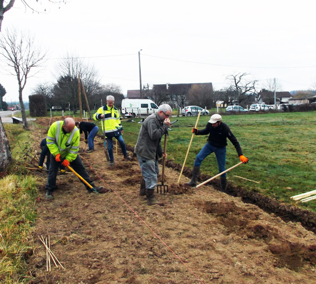 Plantation d'une haie bocagère à Courlans - Ecla Jura